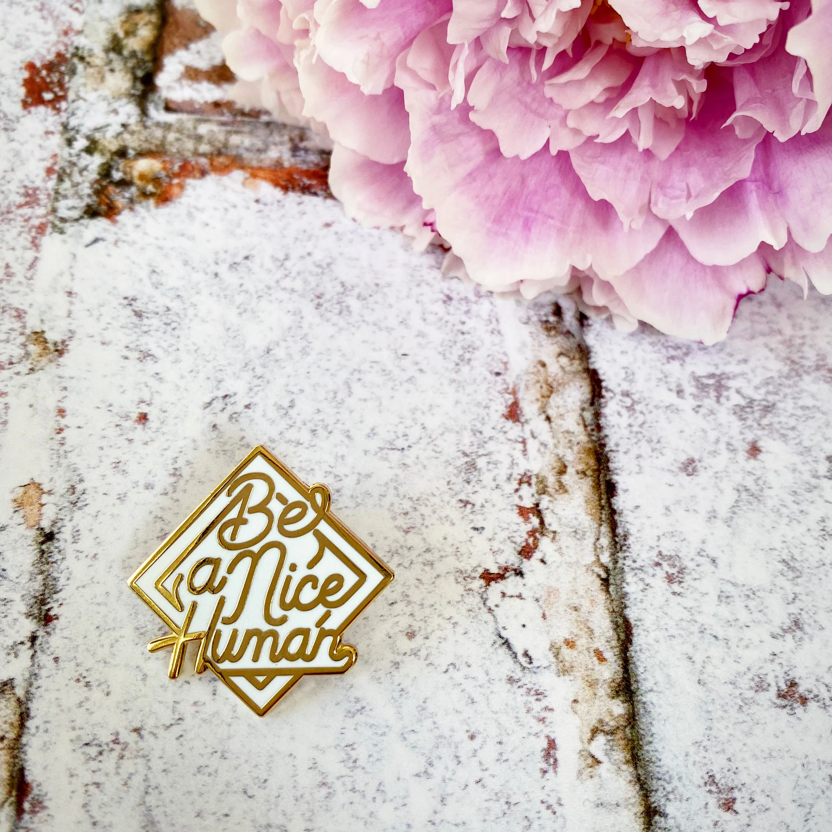 Be a nice Human pin badge
