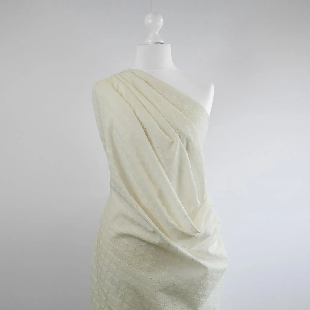 Carolina - Light Cream, Geometric Embroidered Cotton Woven Fabric Sample
